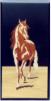 Art. C49 - Misure cm. 24 x 12